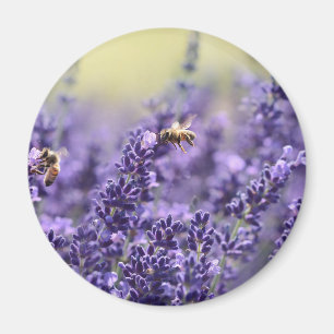Frühlingslavendel mit Bienen Lila Blumen Magnet