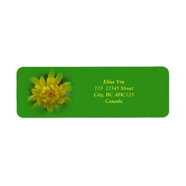 Frühlingslöwenzahnblüte, grüne Etiketten (Vorne)
