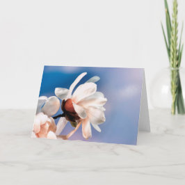Frühlingsmagnolienblüte Karte