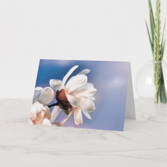 Frühlingsmagnolienblüte Karte (Vorderseite)