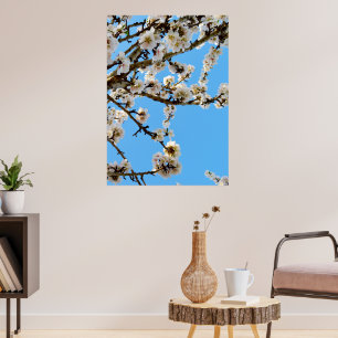 Frühlingsmuster: Weiße Blüten gegen blauen Himmel Poster