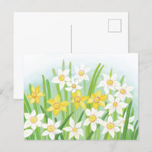 Frühlingsnarzissen postkarte
