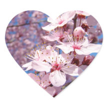 Frühlingspink Bäume Blossom Blume Aufkleber Siegel