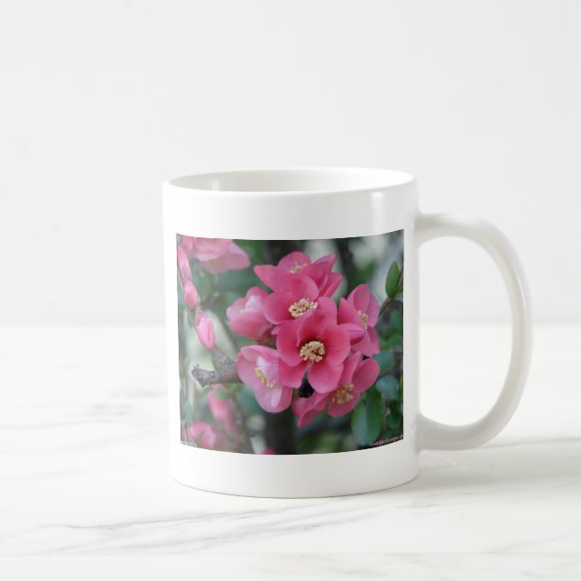 Frühlingspink blühende Ruhe Kaffeetasse (Rechts)
