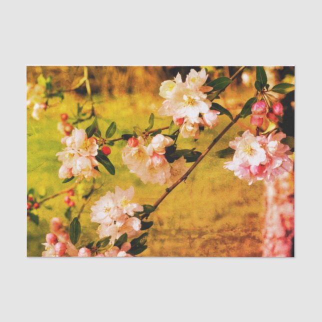 Frühlingspink und Weiß Blüten Vintage Entfärbung Seidenpapier (Vorderseite)