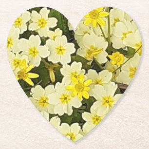 Frühlingsprirosen Untersetzer