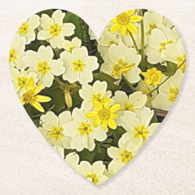 Frühlingsprirosen Untersetzer (Vorderseite)