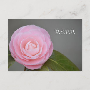 Frühlingsrosa Rose RSVP Karte