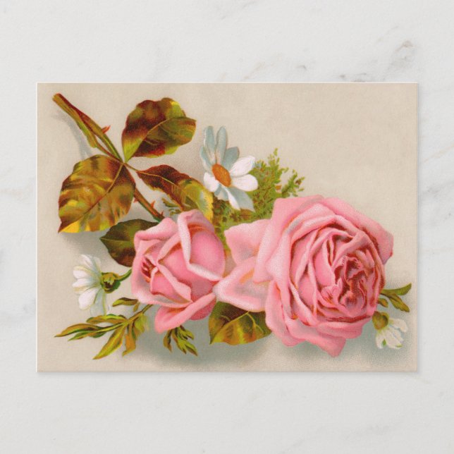 Frühlingsrosen Vintage-Postkarte Postkarte (Vorderseite)