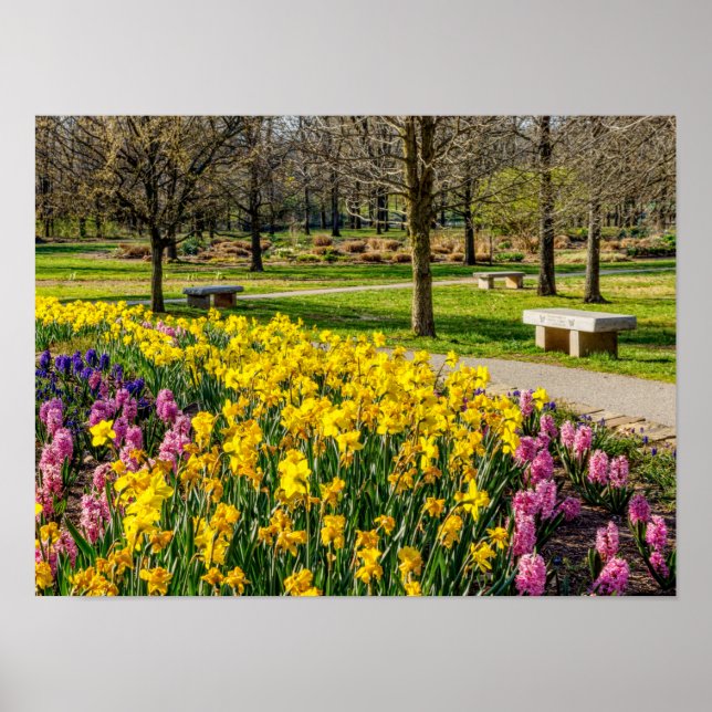 Frühlingssaison Blumengarten Poster (Vorne)