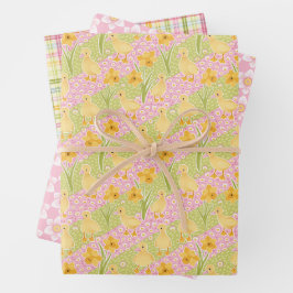 Frühlingssauger, Kariertes und trockenes Set von d Geschenkpapier Set