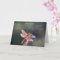 Frühlingssehen mit Dragonfly und Segen