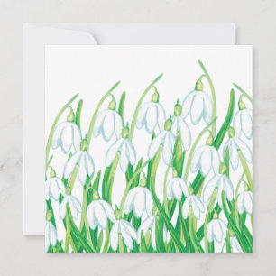 Frühlingssnowdrops Karte