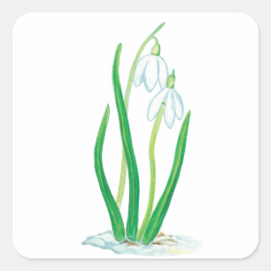 Frühlingssnowdrops Quadratischer Aufkleber
