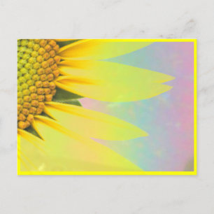 Frühlingssonnenblumen Postkarte