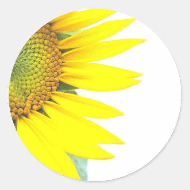 Frühlingssonnenblumen Runder Aufkleber (Vorderseite)