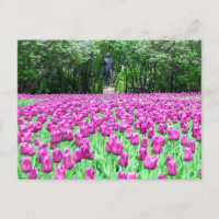 Frühlingsstipps im Englischen Garten - Postkarte