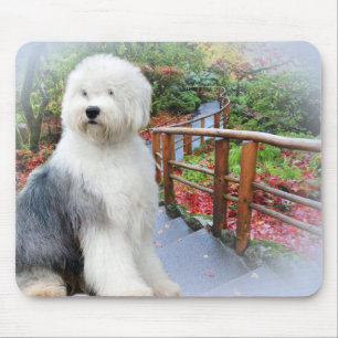 Frühlingstag der englischen Schafhunde Mousepad