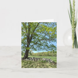 Frühlingstag der Monson Note Card Dankeskarte