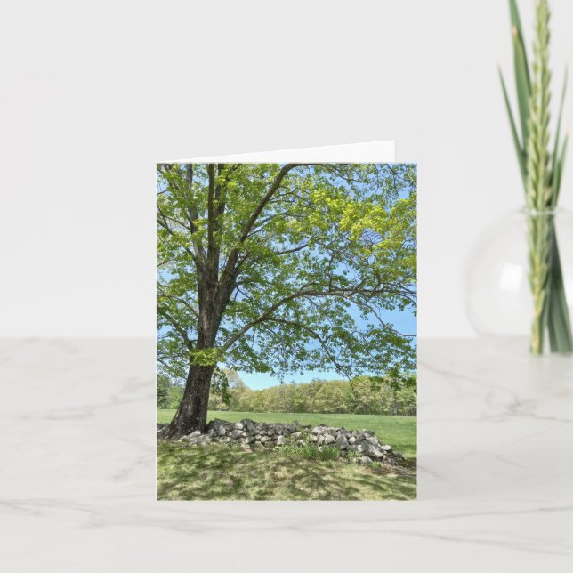 Frühlingstag der Monson Note Card Dankeskarte (Vorderseite)