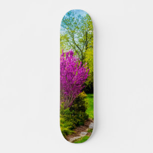 Frühlingstag schmerzhaft skateboard