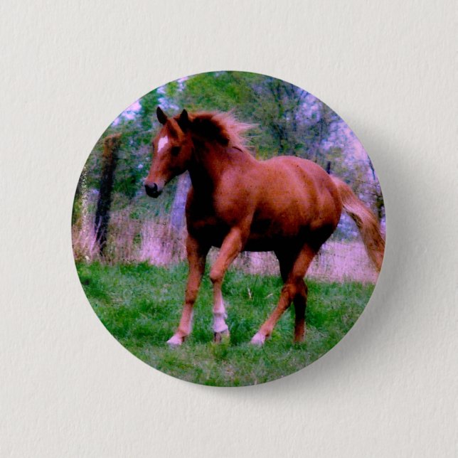 Frühlingstraum, Sorrel Trotting Button (Vorderseite)