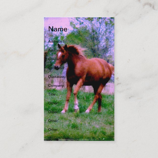 Frühlingstraum, Sorrel Trotting Visitenkarte (Vorderseite)