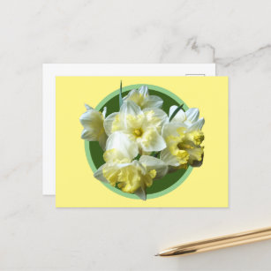Frühlingstriche Weißgelbe Narzisse Blume Postkarte