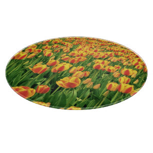 Frühlingstulips blühen vor der alten Scheune. Schneidebrett