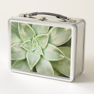 FrühlingSucculent Metall Brotdose