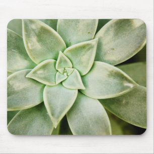 Frühlingsukkulent Mousepad