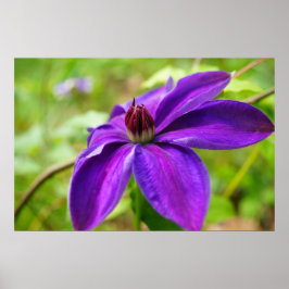 Frühlingsurlaub! Poster