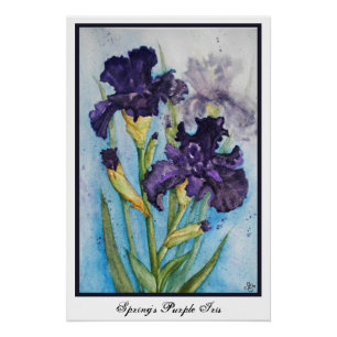 Frühlingsviolette Schwertlilie Poster