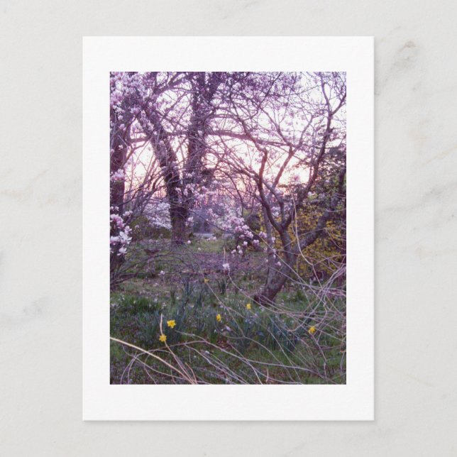 Frühlingsvormittag Postkarte (Vorderseite)