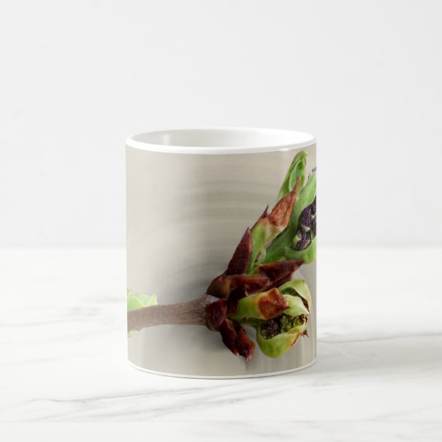 Frühlingswärme Kaffeetasse (Mittel)