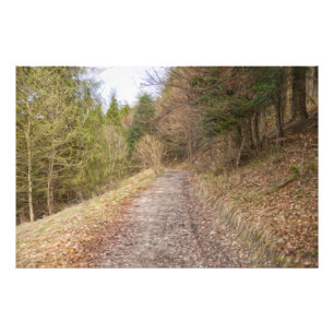 Frühlingsweg im Wald Fotodruck