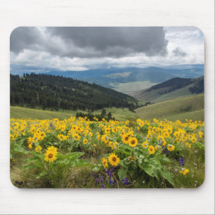 Frühlingswildblumen in den Hügeln Mousepad