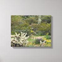Frühlingszeit in der Wüstenfotografie