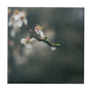 Frühlingszeit. Makro-Tau Fliese