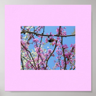 Frühlingszeit... Poster