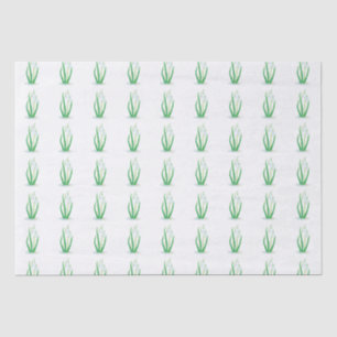 Frühlingszwiebeln (Galanthus nivalis) Weiß Seidenpapier