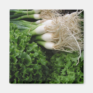 Frühlingszwiebeln und -kopfsalat magnet