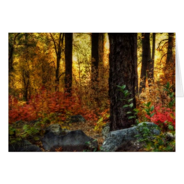 Frühmorgendlicher Spaziergang (Vorderseite (Horizontal))