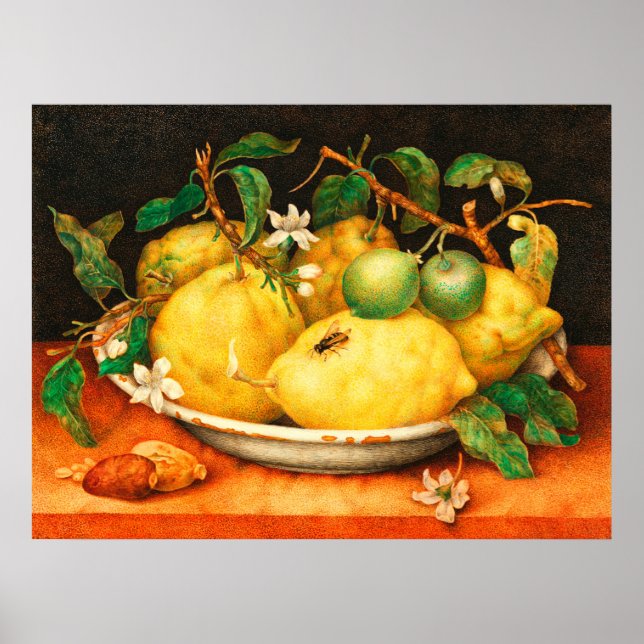 FRÜHSTÜCK UND WEISSE BLUME POSTER (Vorne)