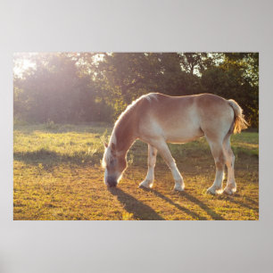 Frühstückszeit Poster