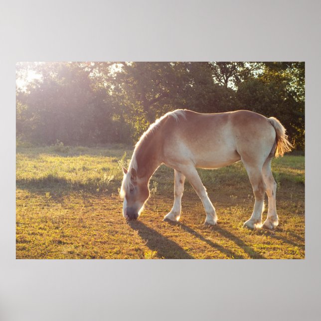 Frühstückszeit Poster (Vorne)