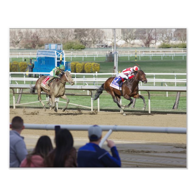 Frühwahldruck Fotodruck (Vorne)