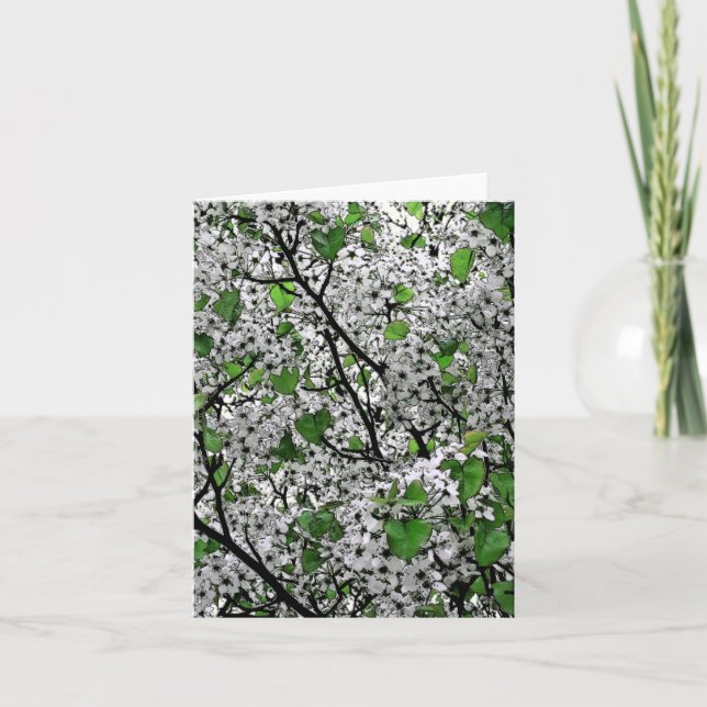 "FRÜHZEITBLUMEN AUF BAUM (WEISS/GRÜNE) KARTE (Vorderseite)