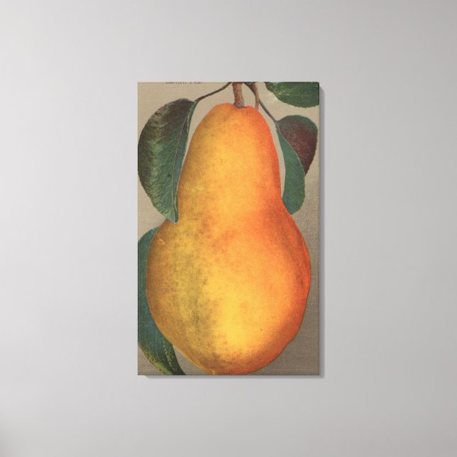Fruit Chromo Lithograph von Bartlett Pear Leinwanddruck (Vorderseite)