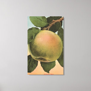 Fruit Chromo Lithograph von Newtown Pippen Leinwanddruck